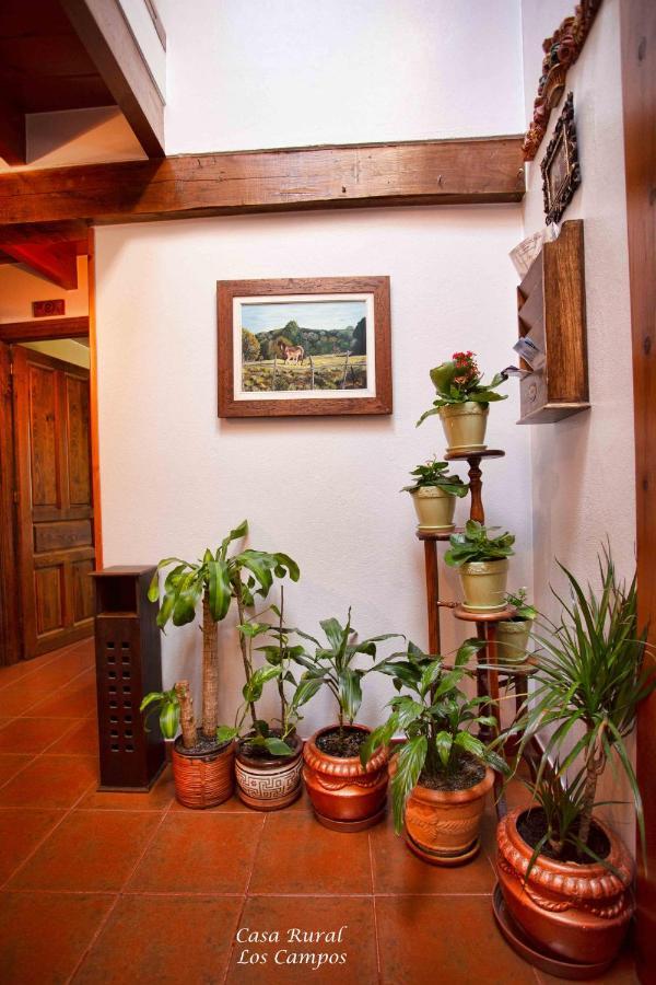 Casa Rural Los Campos Corao Bagian luar foto
