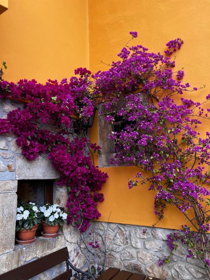 Casa Rural Los Campos Corao Bagian luar foto